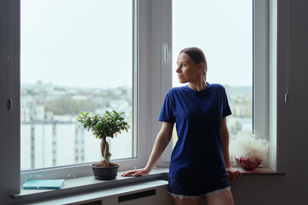 Savannah Vinyl Windows